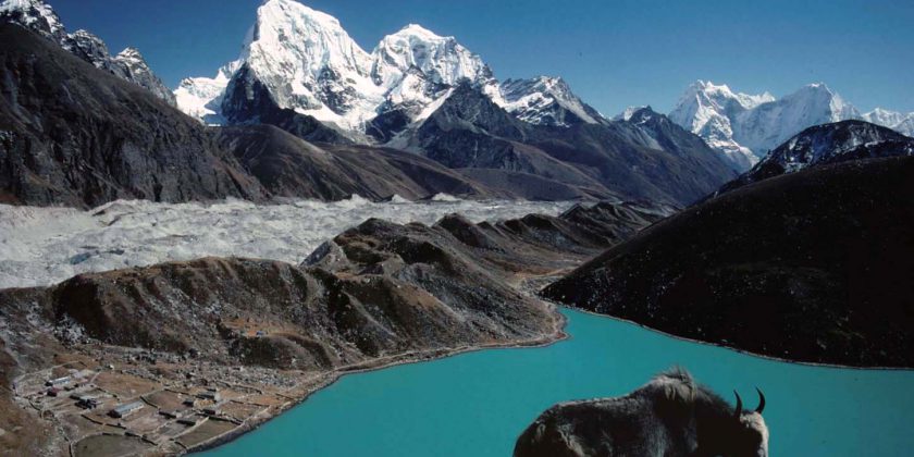 Gokyo Lake & Cho La Pass (5420m) Trekking