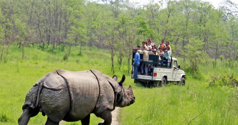 Kathmandu- Chitwan-Nagarkot 7 Days Tour